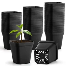 60 Pack 2.7Inch Plastic Square Nursery Pots Plastic Plant Seed Starting Black