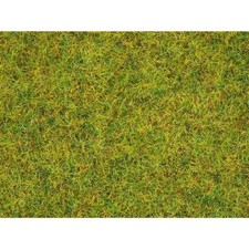 NOCH 08310 - SUMMER GREEN GRASS - 20gr