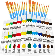 Acrylic Paint Set 12 Colors  2 Pack  With 20 Paint Brushes,24 Acrylic Paints for A