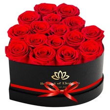 16 Forever Preserved Roses in a Box,Real Preserved Flowers,Mothers Day Flower...