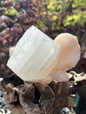 Green Multi Cubic Apophyllite Rare Cluster with Stillbite AAA+ 3