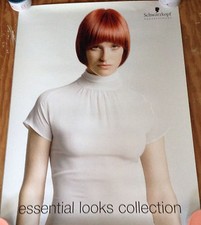 Essential Looks Collection 5 Poster set Schwarzkopf 27" wide x 35" tall #200-A
