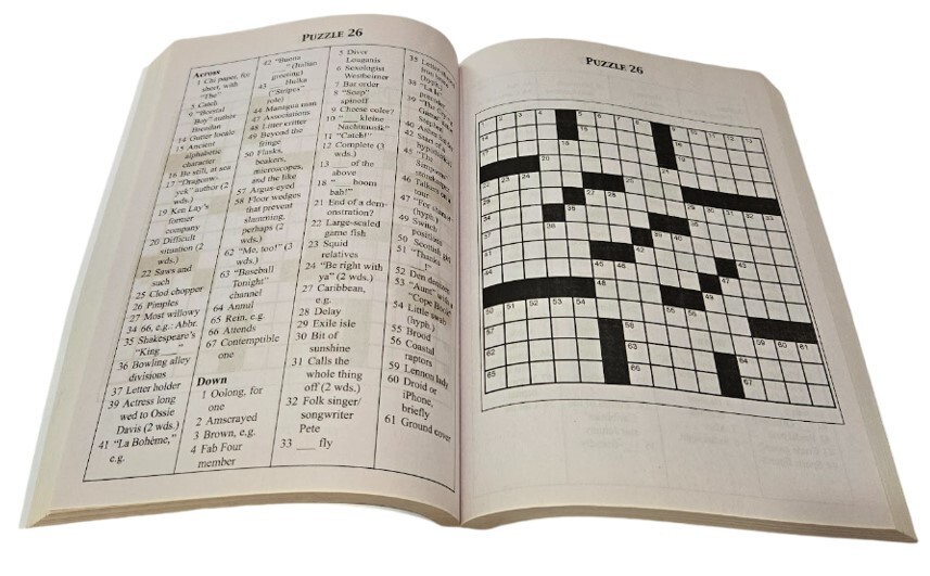 Vision street publishing llc 2019 10 5in x 7 5in variety puzzles