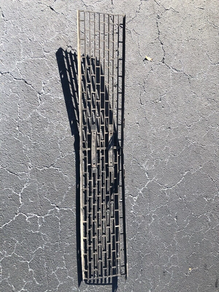 Ford Mustang 1966 parrilla Foto 2 de 2