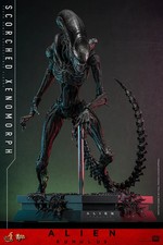 Hot Toys MMS784 Alien Romulus 1/6 Scale Scorched Xenomorph Action Figure Toy