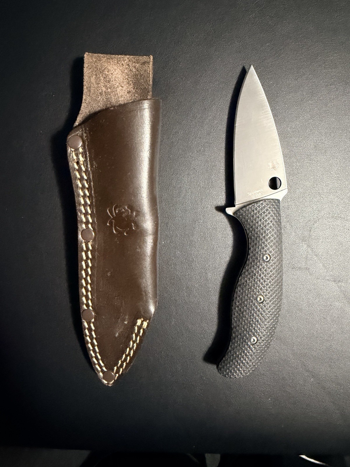 Spyderco Mule Team M398 Fixed Blade Knife Blank MT38P. Discontinued. 