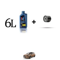 Set ÖLfilter Und 6L FüR Ford Fiesta Vii 1.5 St 147Kw Von 2018