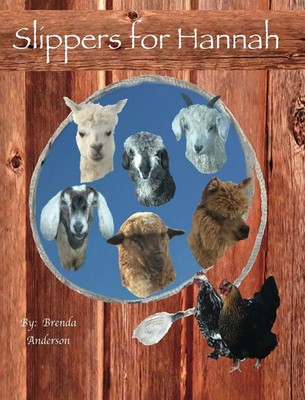 Brenda Anderson | Slippers for Hannah | Buch | Englisch (2015) | Gebunden