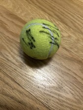 MATCH USED BALL USED BY TAYLOR FRITZ SIGNED BY JULIAN CASH AND LLOYD GLASSPOOL