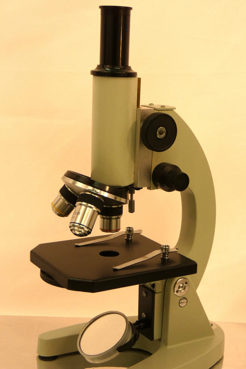 Monocular Compound Light Microscope Parts And Functions Shelly Lighting