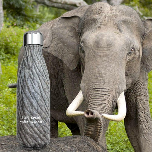 Tadge Goods Insulated Stainless Steel Water Bottle - Endangered Species Edition - Picture 4 of 6