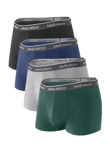 4 Pack David Archy Bamboo Rayon Trunks, Men's Underwear with Support Pouch