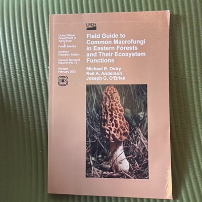 Field Guide to Common MacRofungi in Eastern Forests and Their Ecosystem Function