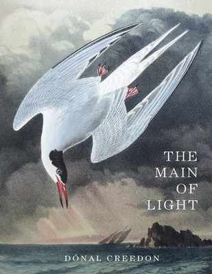 The Main Of Light: Common Ground and Dividing Lines in the Teach