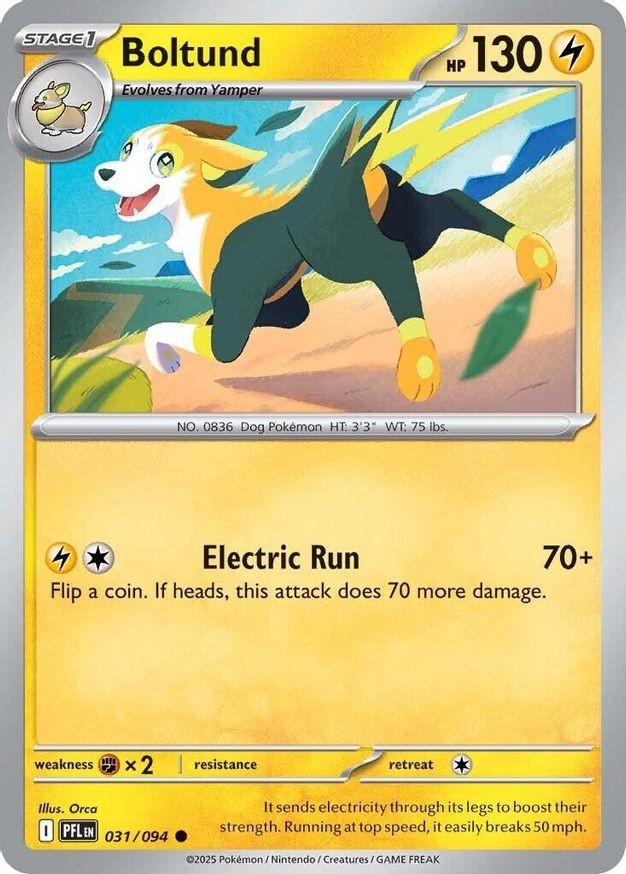 Pokemon Boltund (31/148) Phantasmal Flames LP REVERSE HOLO