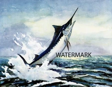 WILLIAM J SCHALDACH - Blue Marlin On - Sport Fishing Print 17x22"