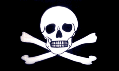 ROTERDON Jolly Roger Piratenflagge – 90 X 152 Cm, Bestickt, Nylon, Mit Messingösen, Für Boot & Garten