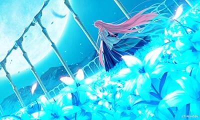 NEW Nintendo Switch Tsukihime A Piece of Blue Glass Moon FE/1st