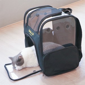 large cat travel cage
