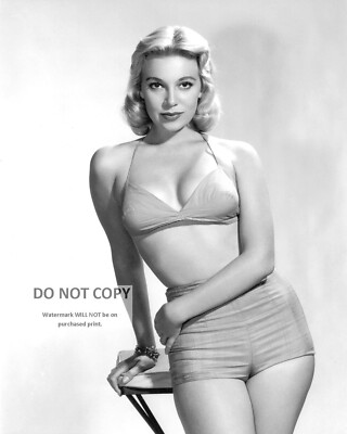 SALLY TODD ACTRESS AND MODEL PIN UP - 8X10 PUBLICITY PHOTO (FB-816)
