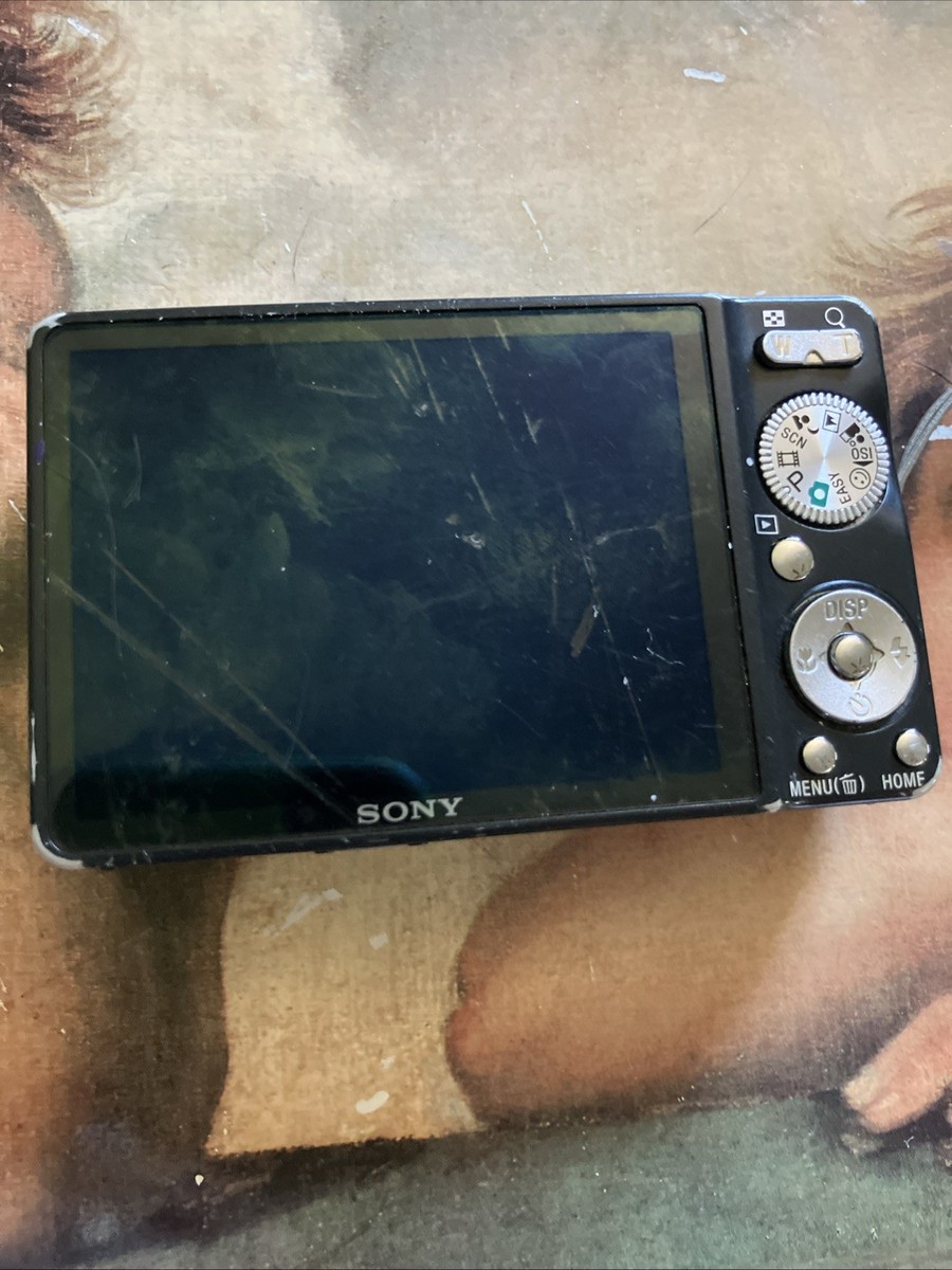 Sony Cybershot 12.1 Megapixels. Carl Zeiss Vario- Tessa's Camera
