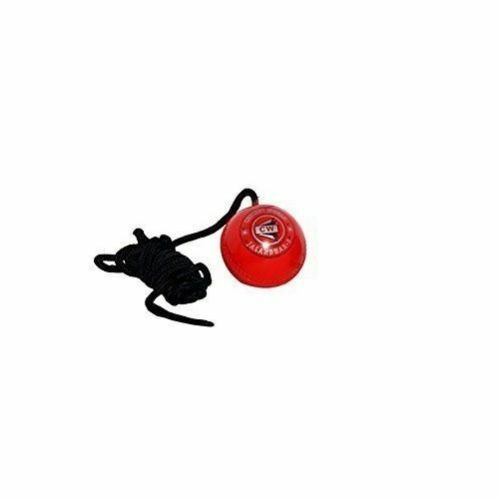 CW Synthetic EVA Cricket Hanging Practice Ball For Batting Shots Skills Training - Picture 1 of 6
