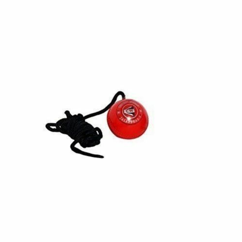 CW Synthetic EVA Cricket Hanging Practice Ball For Batting Shots Skills Training - Afbeelding 1 van 6