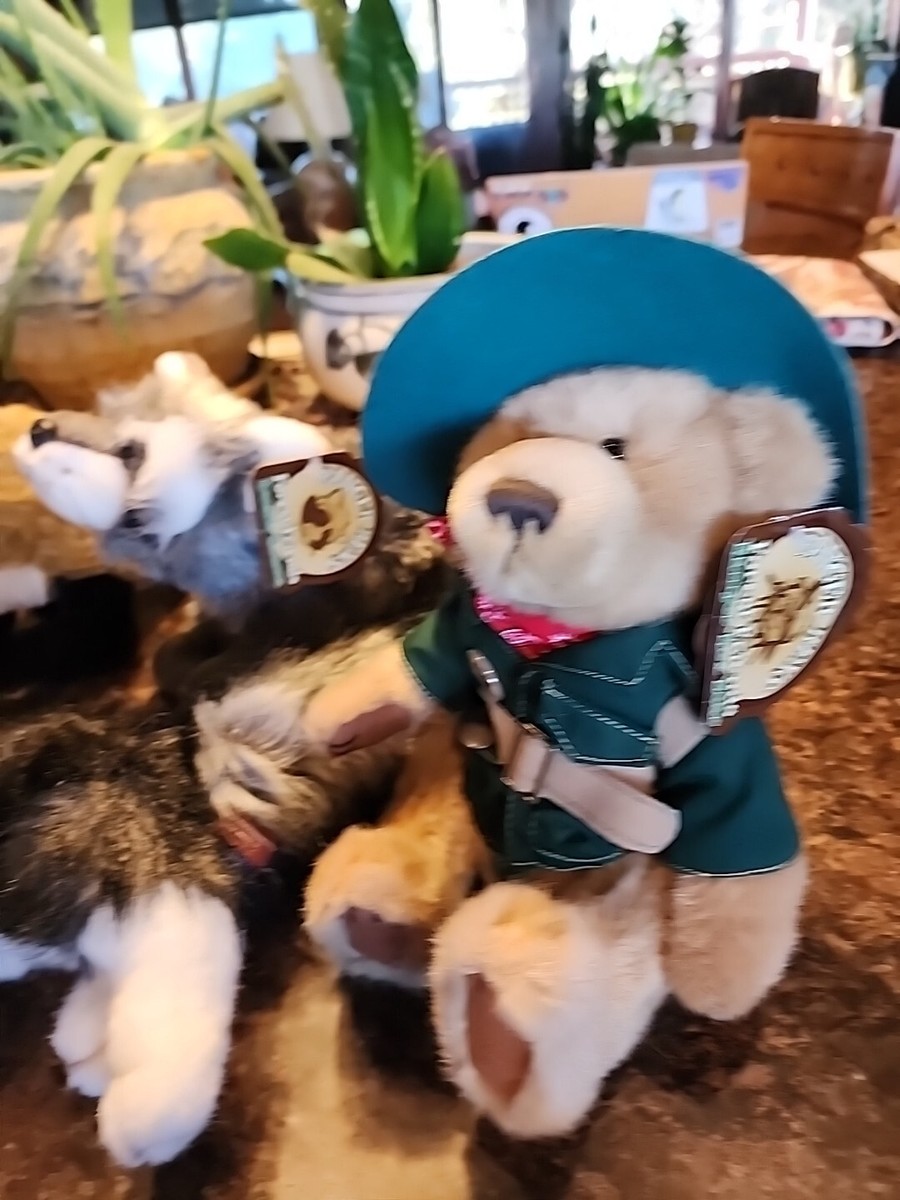 Lot of 9 Talking Plush Ranger Rex Forest Friends NWT wolf,Fox,owl