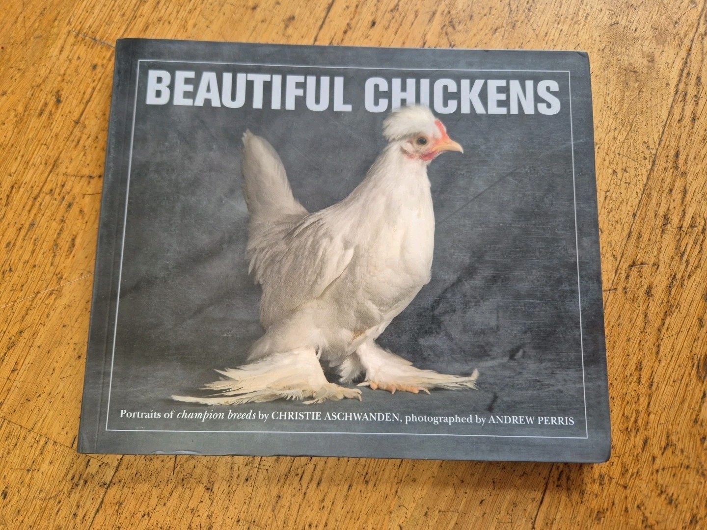 Beautiful Chickens photographs chicken hens hen birds poultry photography book