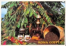 KONA COFFEE - Postcard Advertisement for coffee grown in  Kona Region Hawai'i