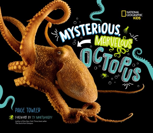 Mysterious, Marvelous Octopus! by Paige Towler (Hardback Book)