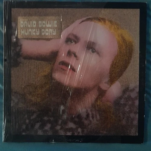 DAVID BOWIE - HUNKY DORY PROMO SHRINK HYPE 1971 RCA RECORDS ALBUM VINYL LP EX/EX
