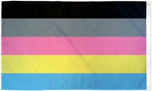 "POLYGENDER" Flagge 3x5 ft Polyester Banner Schild Regenbogen Stolz LGBTQ+ - Bild 2 von 5