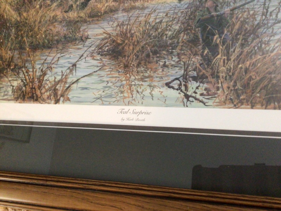 Limited Edition Ducks Unlimited Print Teal Surprise, aFramed, Matted
