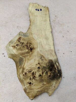 Baumscheibe  55 x 25 - 12 x 3,5  cm  Pappel Maser Epoxidharz  Poplar burl E 94