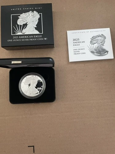 2025 W American Silver Eagle Choice Proof Bullion $1 Coin OGP COA