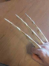Bone Wolverine Claws - Wide Spread Claws