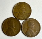 RARE 1919 P D S YEAR SET LINCOLN WHEAT CENTS DENVER SAN FRANCISCO KEY DATE #1