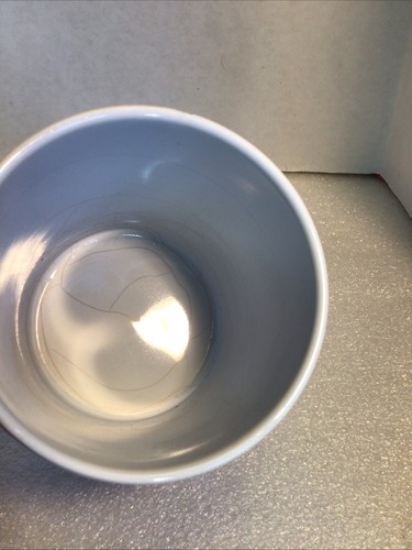 Rara tazza pappagalli Germania occidentale Waechtersbach **chippata** danneggiata** - Foto 2 di 9