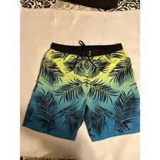 Men's Burnside Swim/Board Shorts Trunk Size Blue/Green Ombr  Lined Palm Frondss