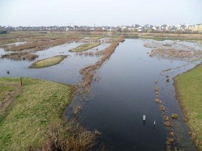 Photo A2 View from the Peacock Tower, London Wetland Centre Barnes The P c2012