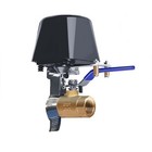 Smart WiFi Water Valve, APP Remote Control, Compatible with Alexa and Google ...