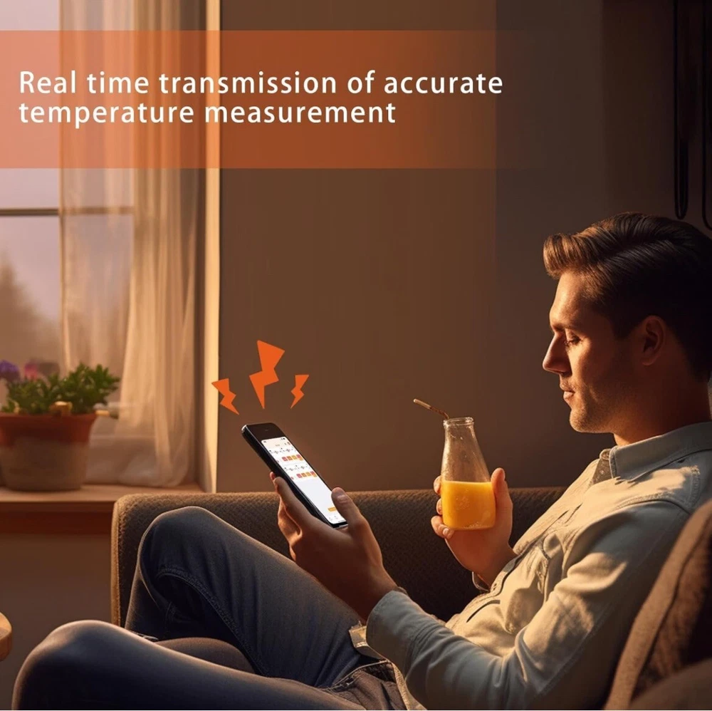 meat thermometer