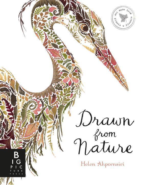 Thumbnail - Drawn From Nature | Helen Ahpornsiri | Englisch | Buch | 2018