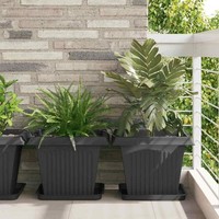 Quadratisches Blumentablett 24 Stk. Schwarz 36 X 36 X 2,5 Cm