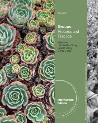Gruppen: Prozess und Praxis, Internationale Ausgabe Taschenbuch