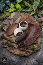 12pcs Jungle Pod &Terrarium /Turtles / Shrimps /Fish / Frogs / Geckos /Isopods