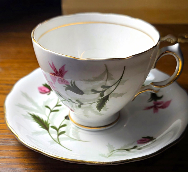 Vintage Colclough Bone China Teacup and Saucer Set Pattern A5 Pink Floral Fern