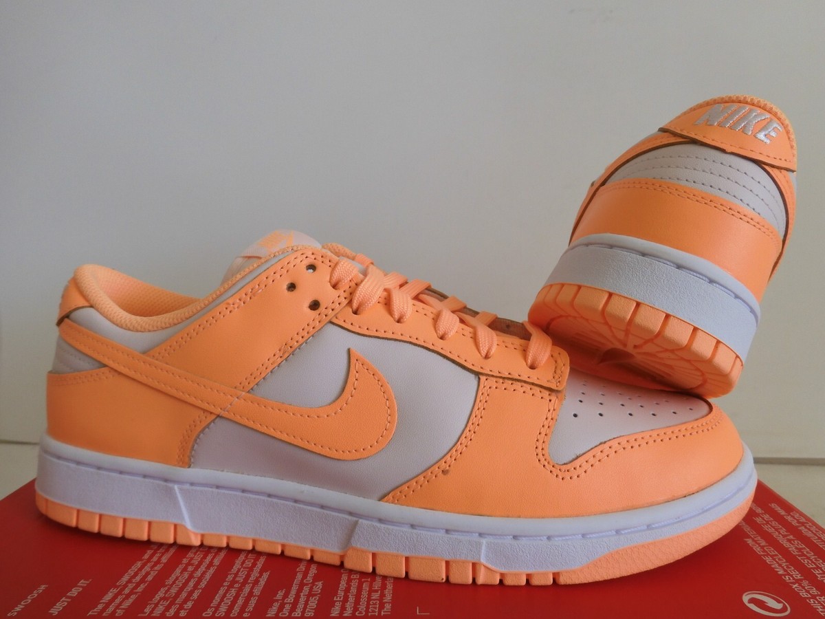 Nike Dunk Lowダスティピーチ Nike SB Dunk Low Pro Corduroy Dusty Peach 2019 BQ6817-201