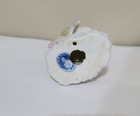 Bild 6 von 6